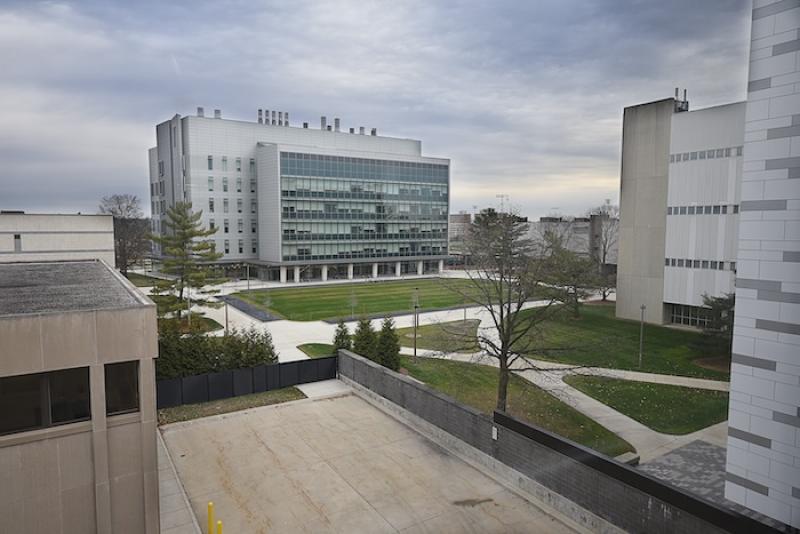 Neuroscience Program